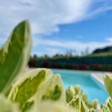 Vigneto - Italian Restaurant & B&B Villa Rosa Di Martinsicuro 外观 照片