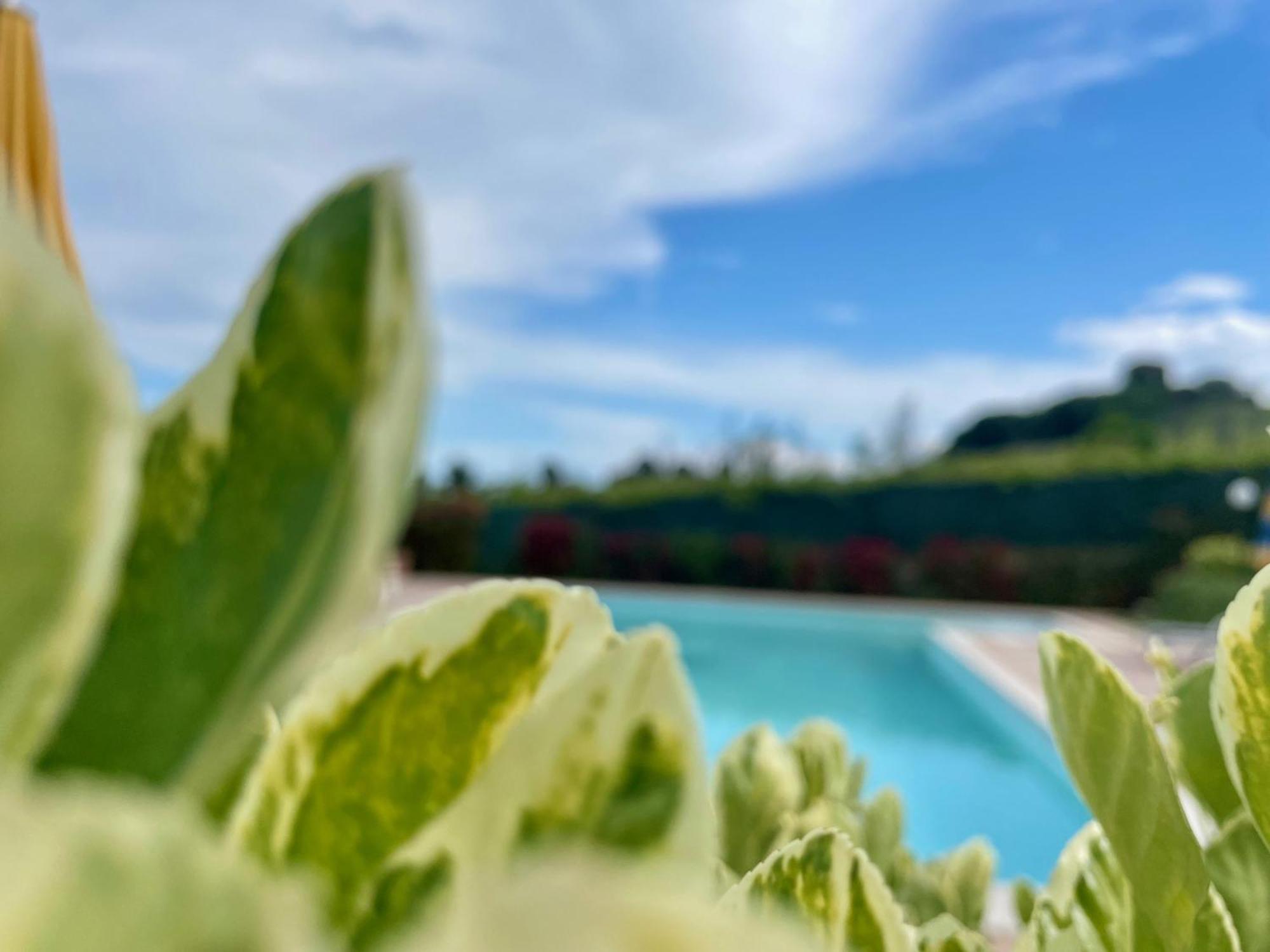 Vigneto - Italian Restaurant & B&B Villa Rosa Di Martinsicuro 外观 照片