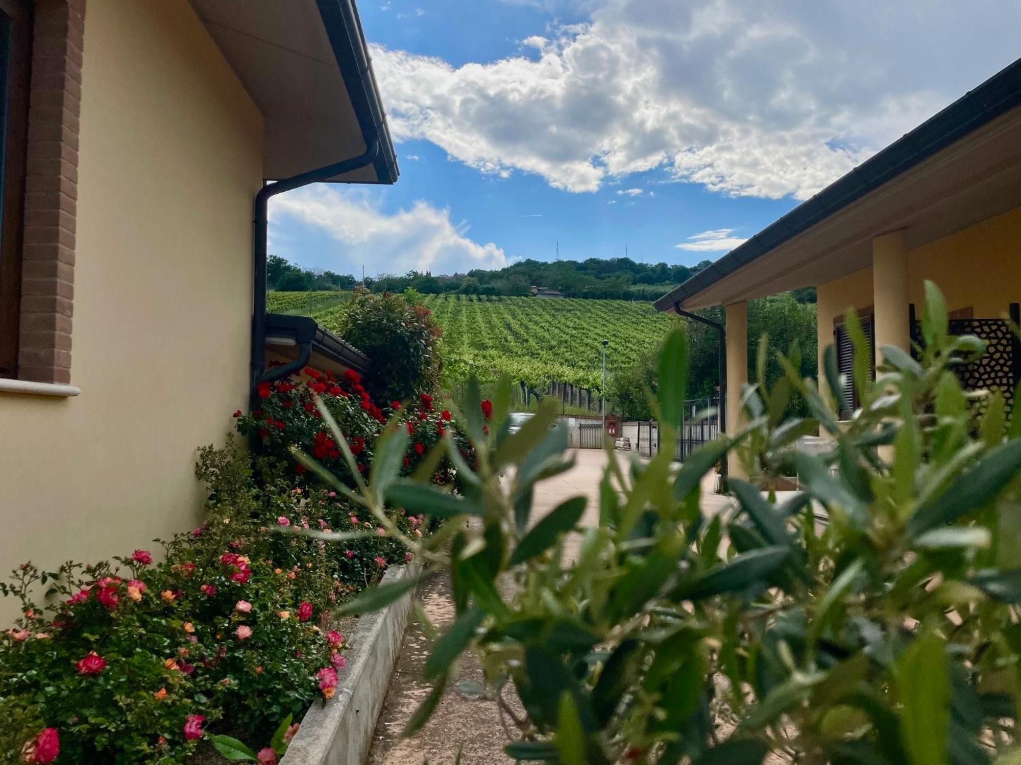 Vigneto - Italian Restaurant & B&B Villa Rosa Di Martinsicuro 外观 照片